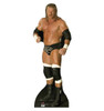 Life-size Triple H WWE Cardboard Standup