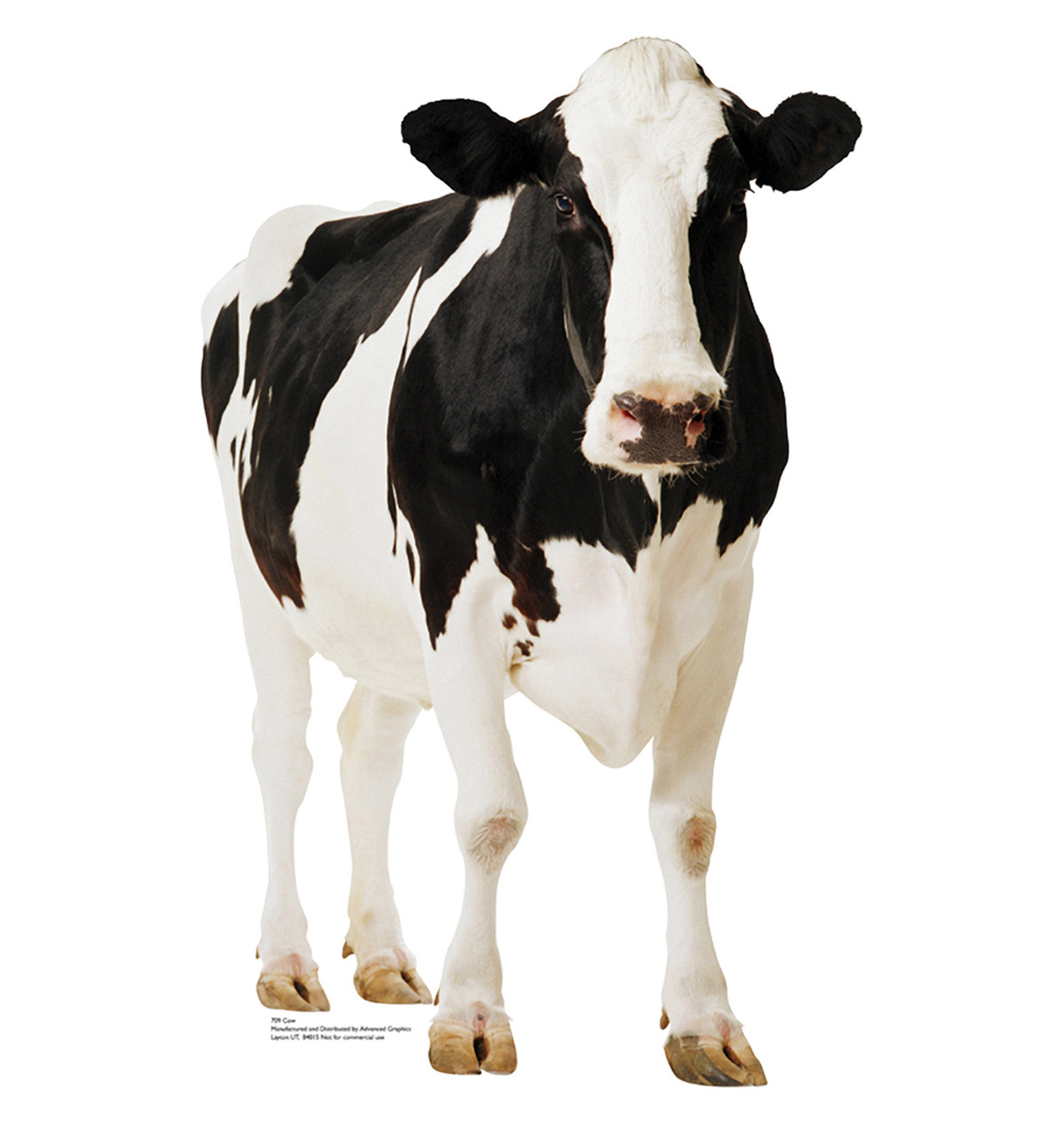 Life-size Cow Cardboard Standup
