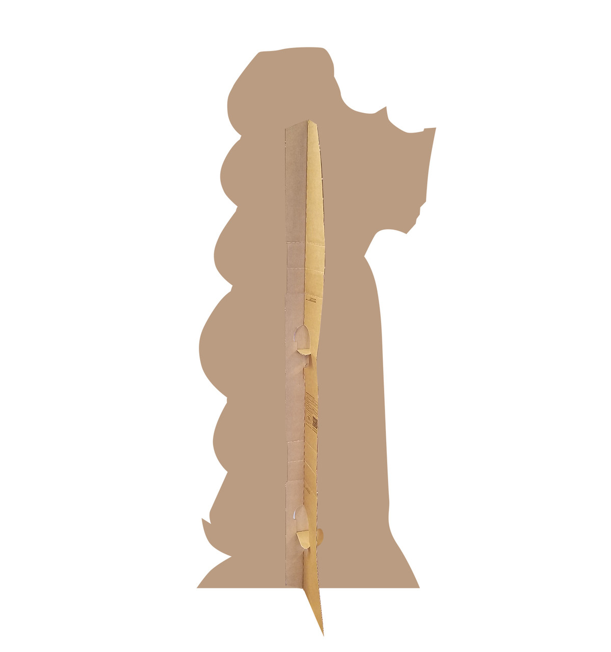 Life-size Rapunzel (Tangled The Series) Cardboard Standup |Cardboard Cutout