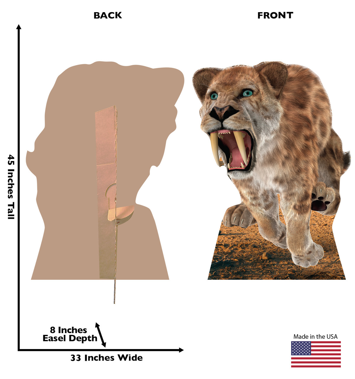 Life-size cardboard standee of the Saber Tooth Tiger with back and front dimensions.