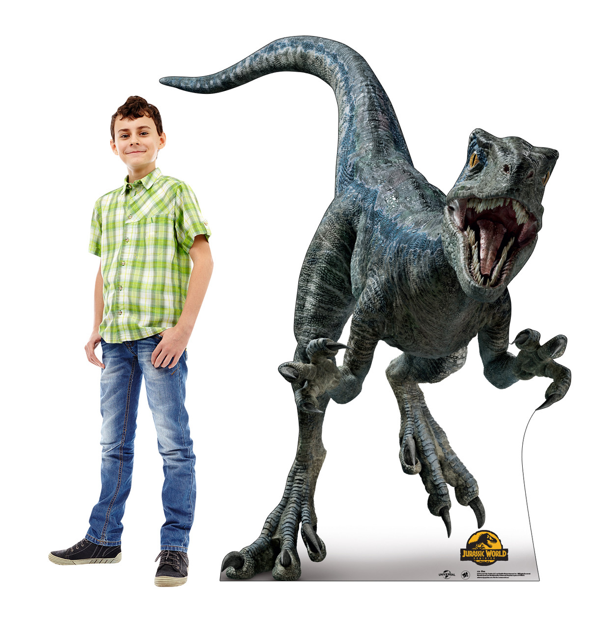 Life-size Cardboard Standee of Blue from the movie Jurassic World Dominion with model.