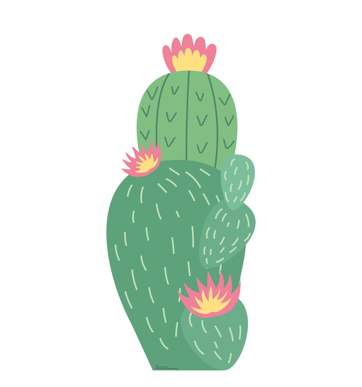 Life-size cardboard standee of a Group Cactus 48 inches tall.