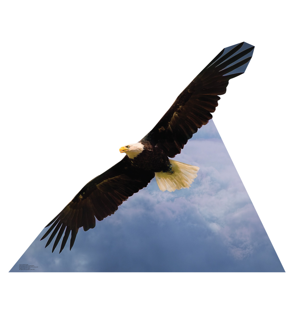 Life-size cardboard standee of an American Eagle.