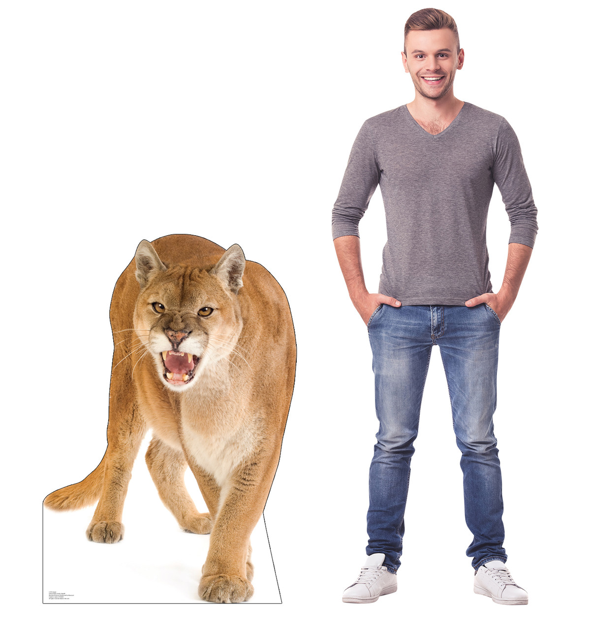Life-size cardboard standee of a Cougar with model.