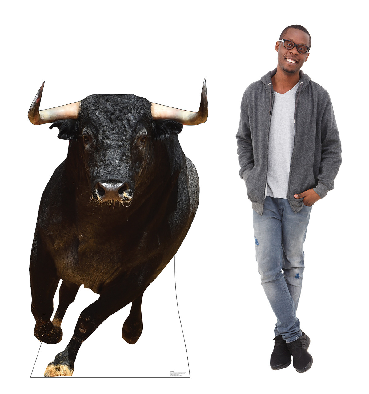 Life-size cardboard standee of a Bull with model.