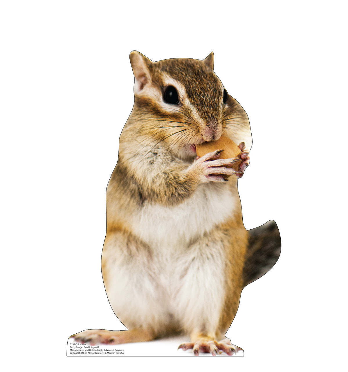 Life-size cardboard standee of a Chipmunk.