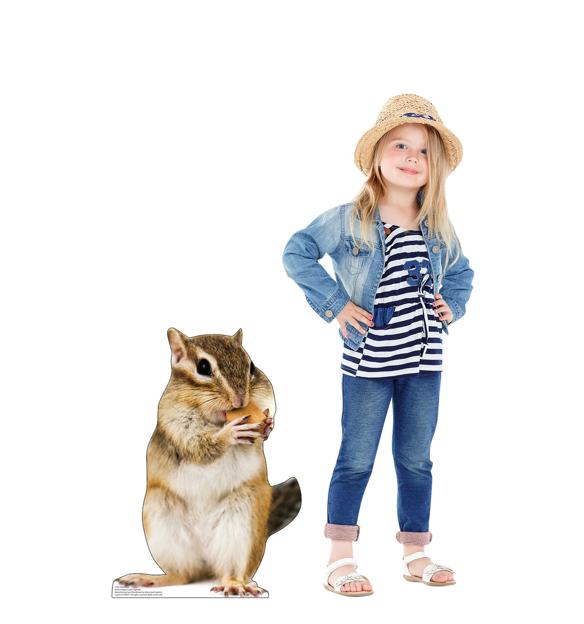 Life-size cardboard standee of a Chipmunk with model.