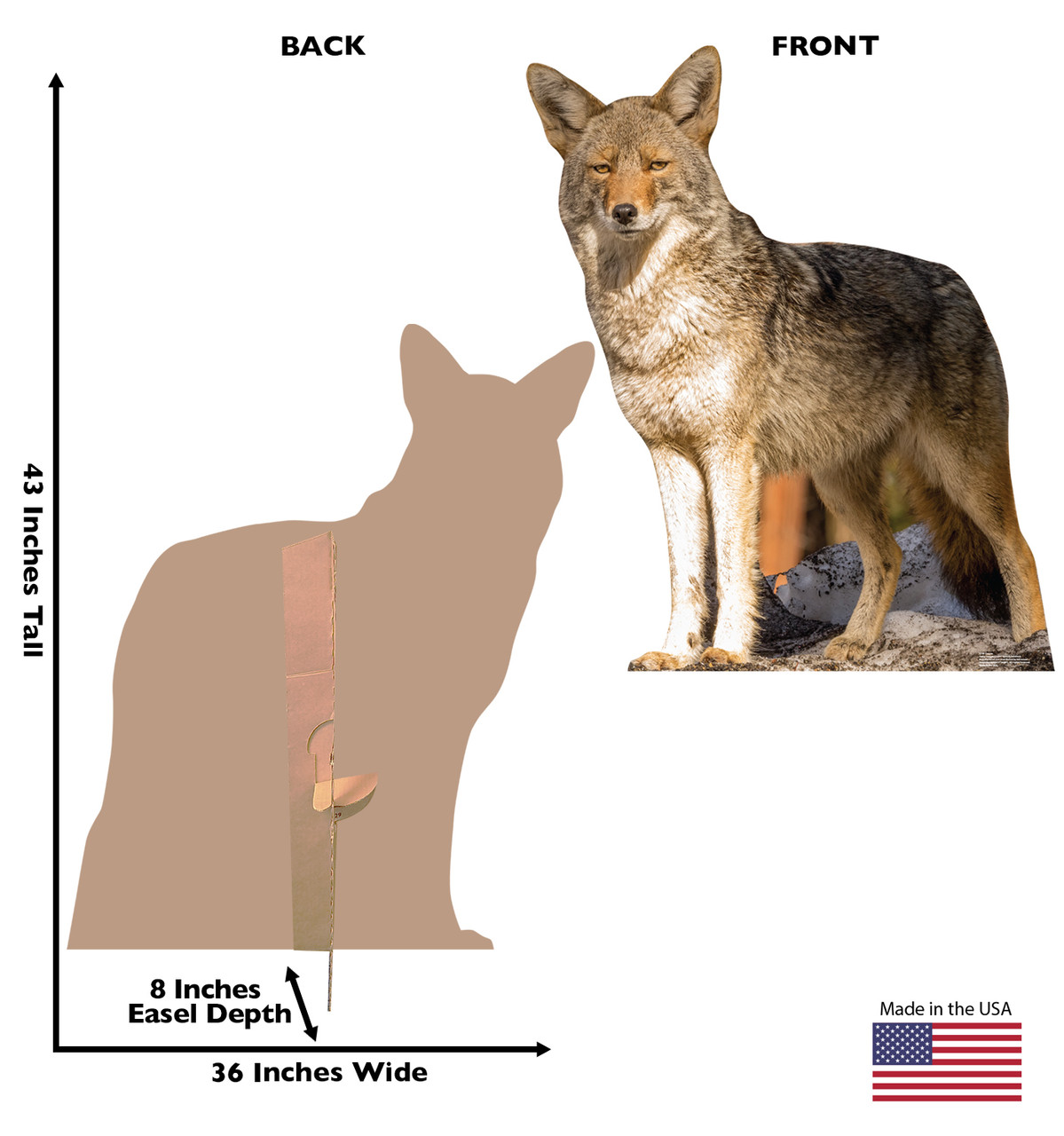 Life-size cardboard standee of a Coyote with back and front dimensions.