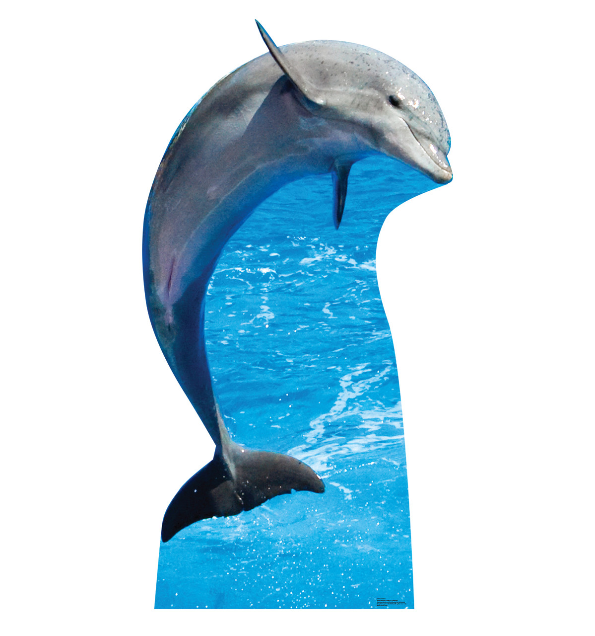 Life-size cardboard standee of a Dolphin.