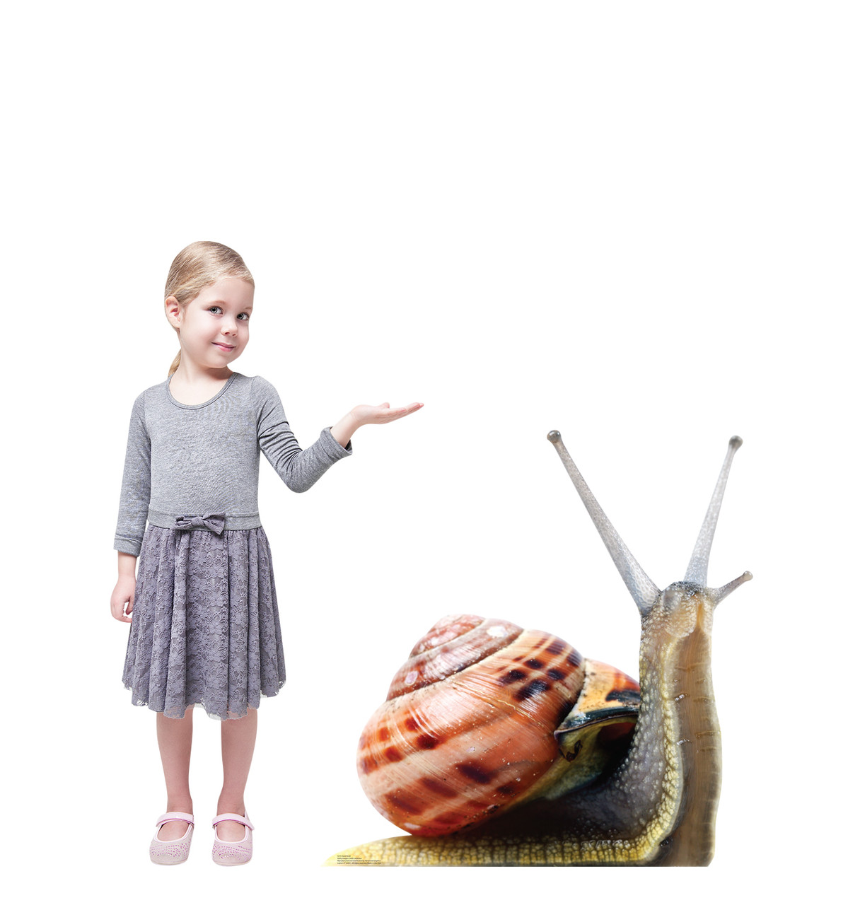 Life-size cardboard standee of a Giant Snail with model.