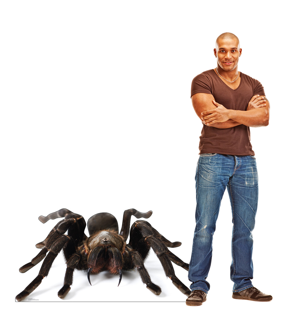 Life-size cardboard standee of a Giant Tarantula with model.