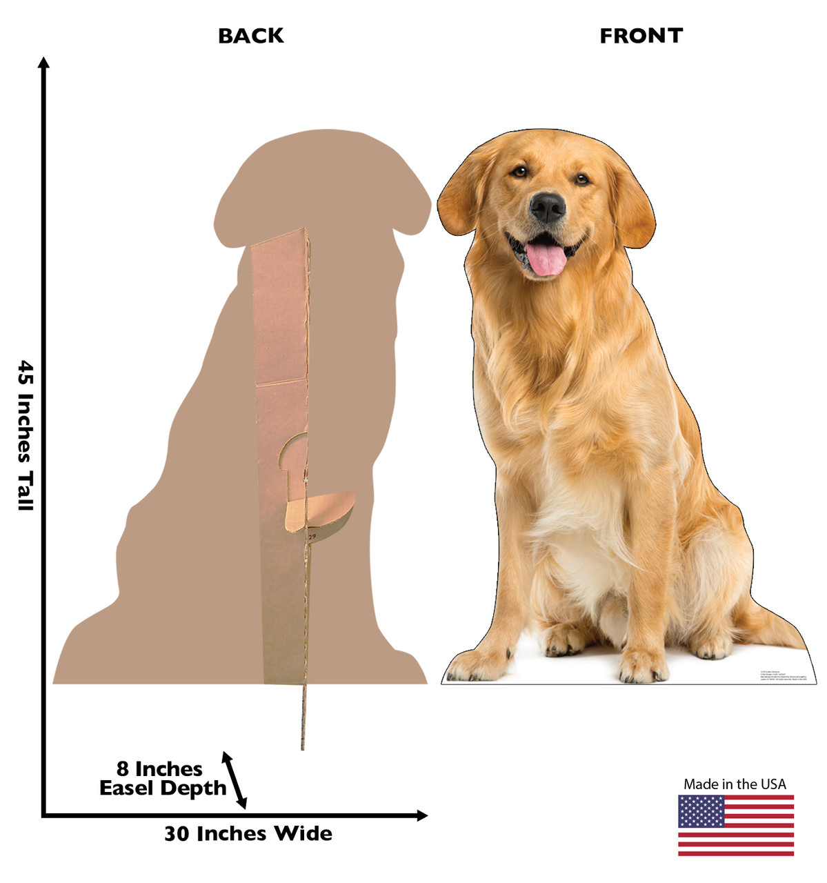 Life-size cardboard standee of a Golden Retriever with back and front dimensions.