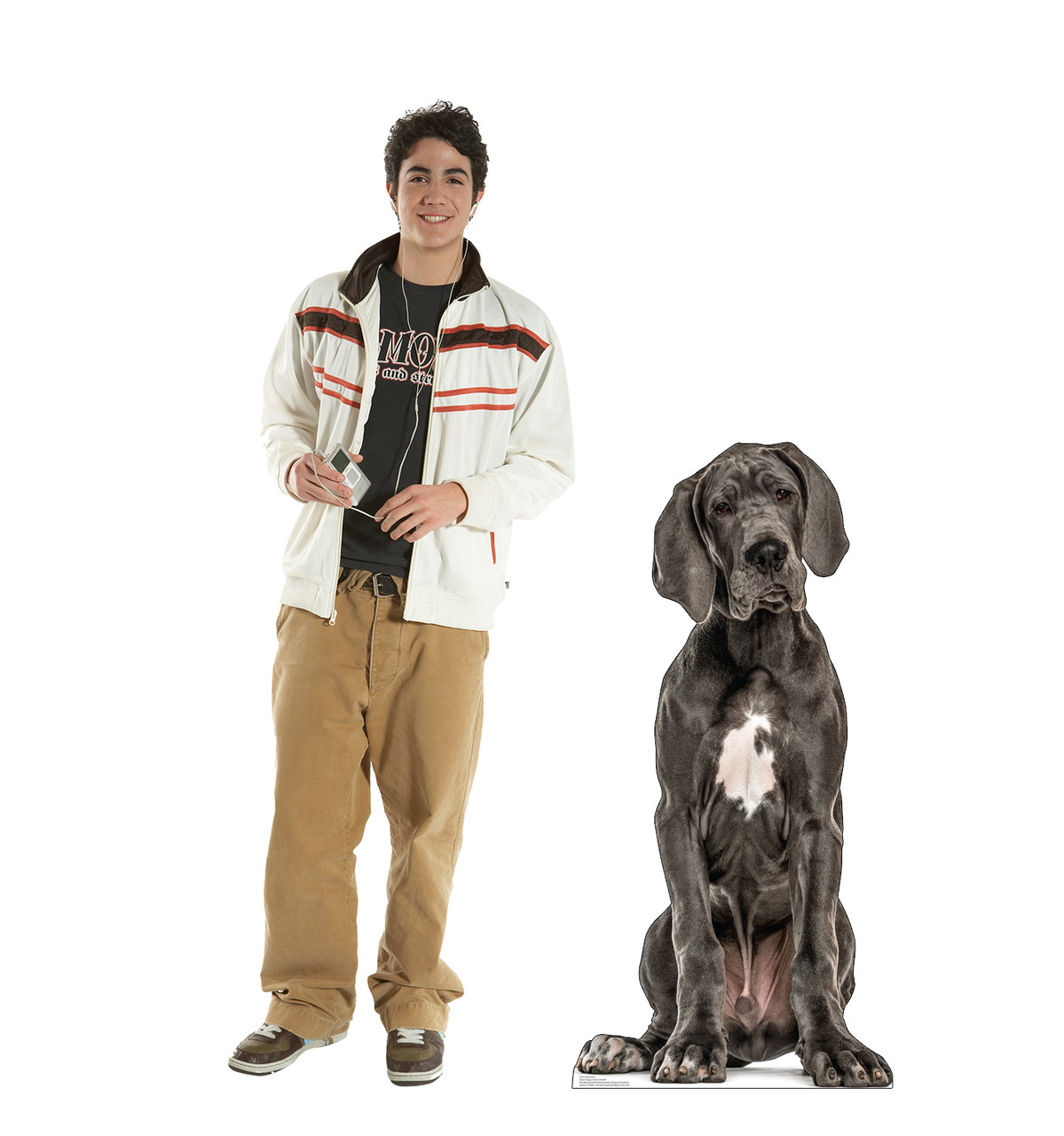 Life-size cardboard standee of a Great Dane with model.