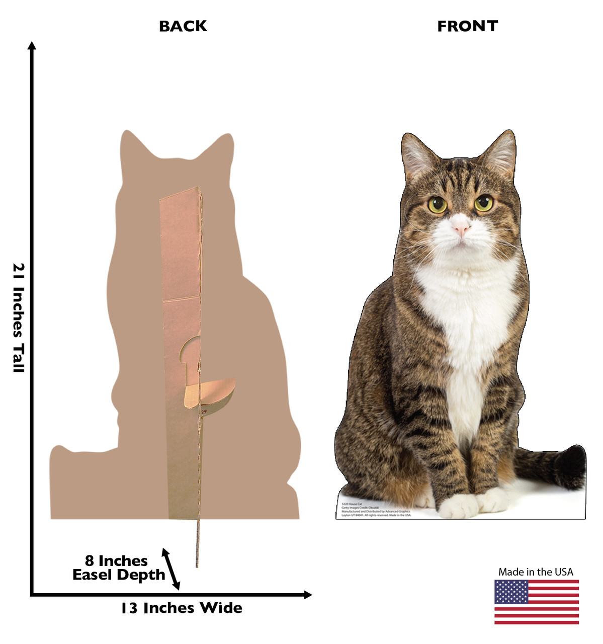 Life-size cardboard standee of a House Cat with back and front dimensions.