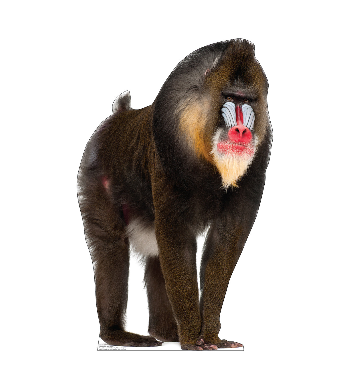 Mandrill ‎– 2枚 5232_Mandrill_28__99084.