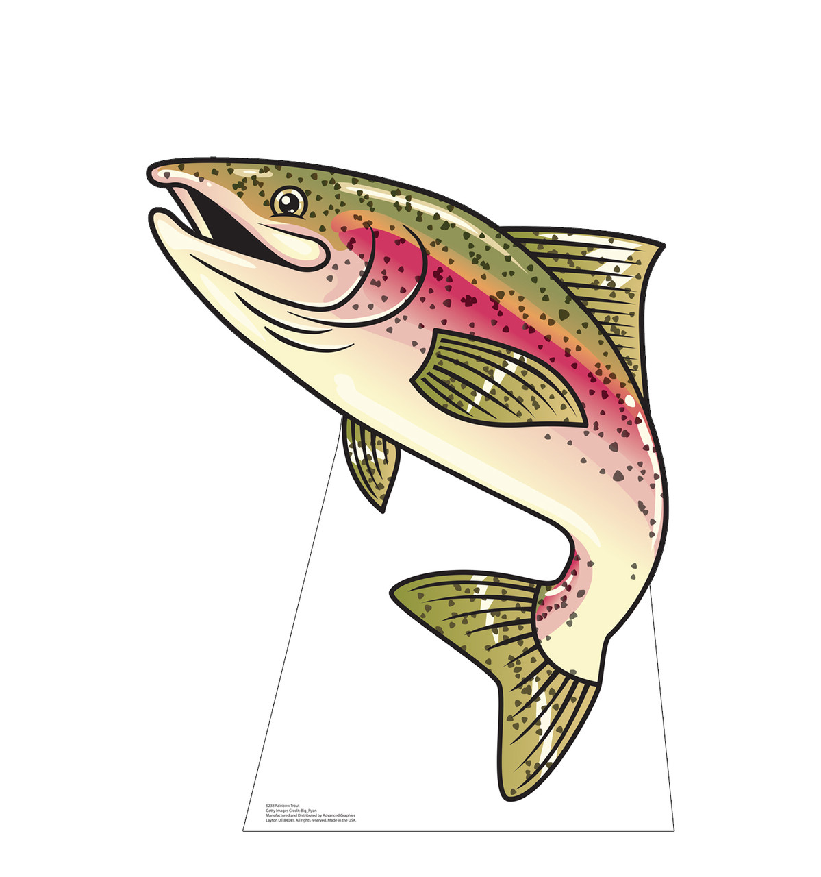 Life-size cardboard standee of a Rainbow Trout.