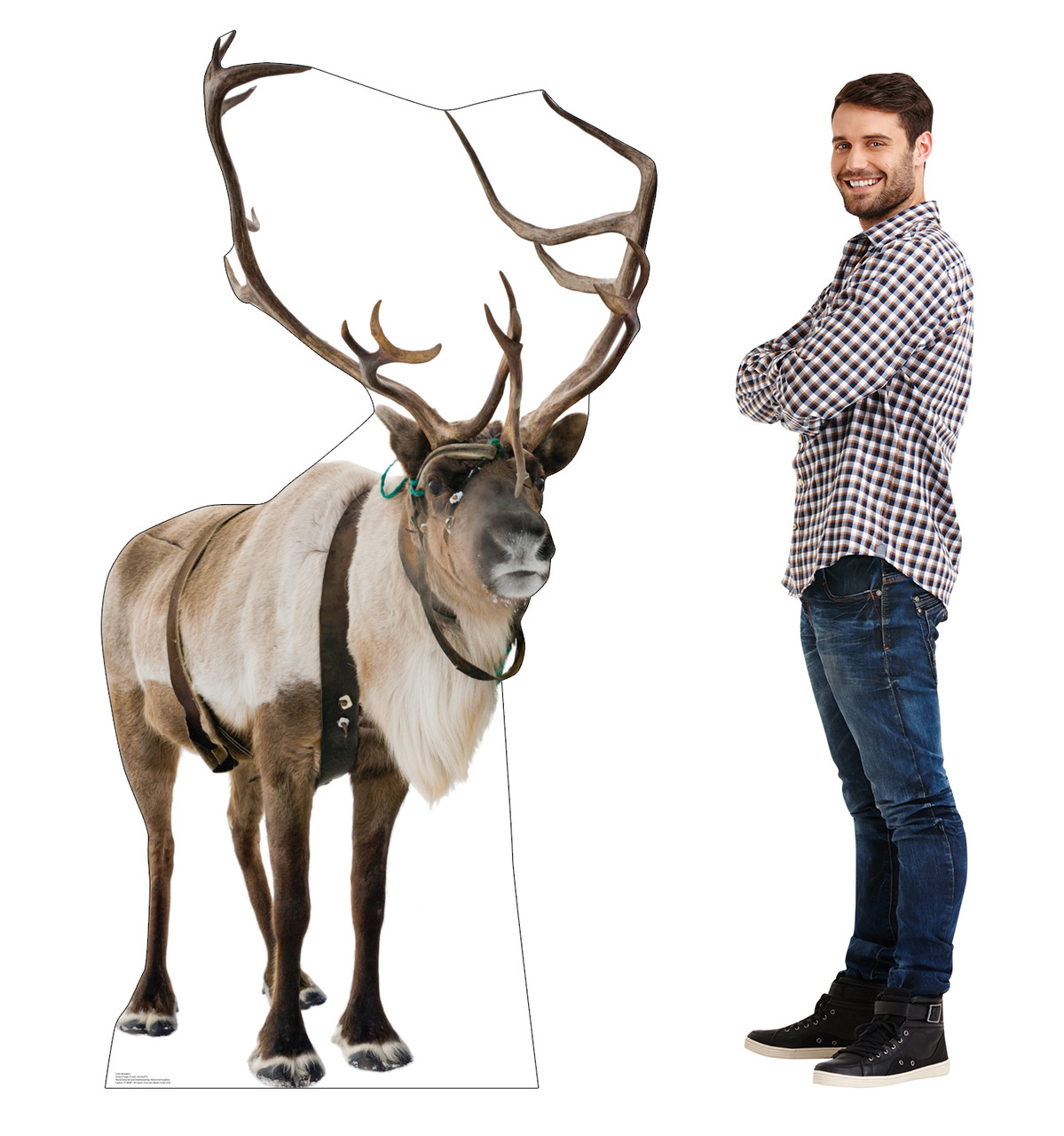 Life-size cardboard standee of a Reindeer with model.