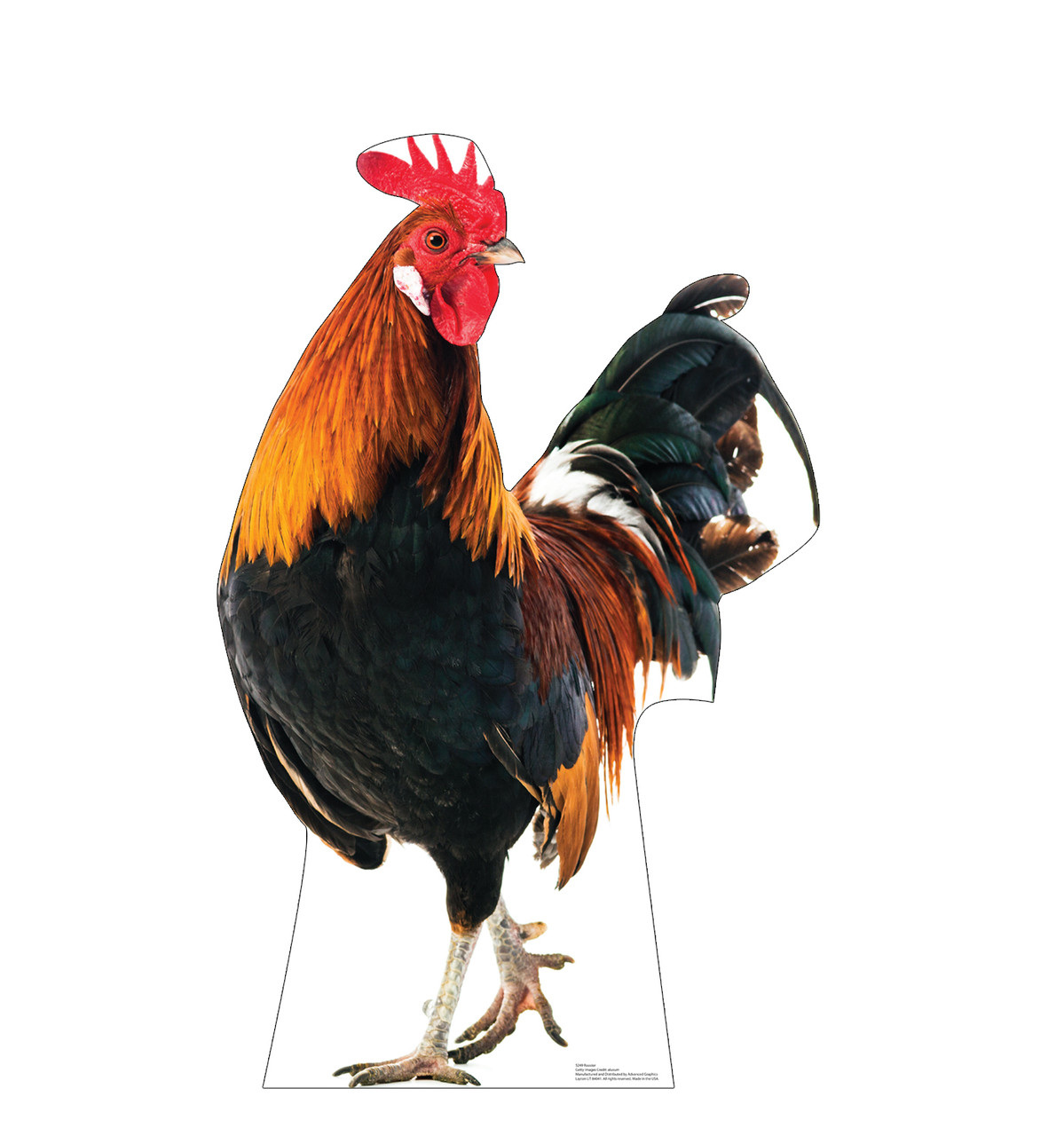 Life-size cardboard standee of a Rooster.