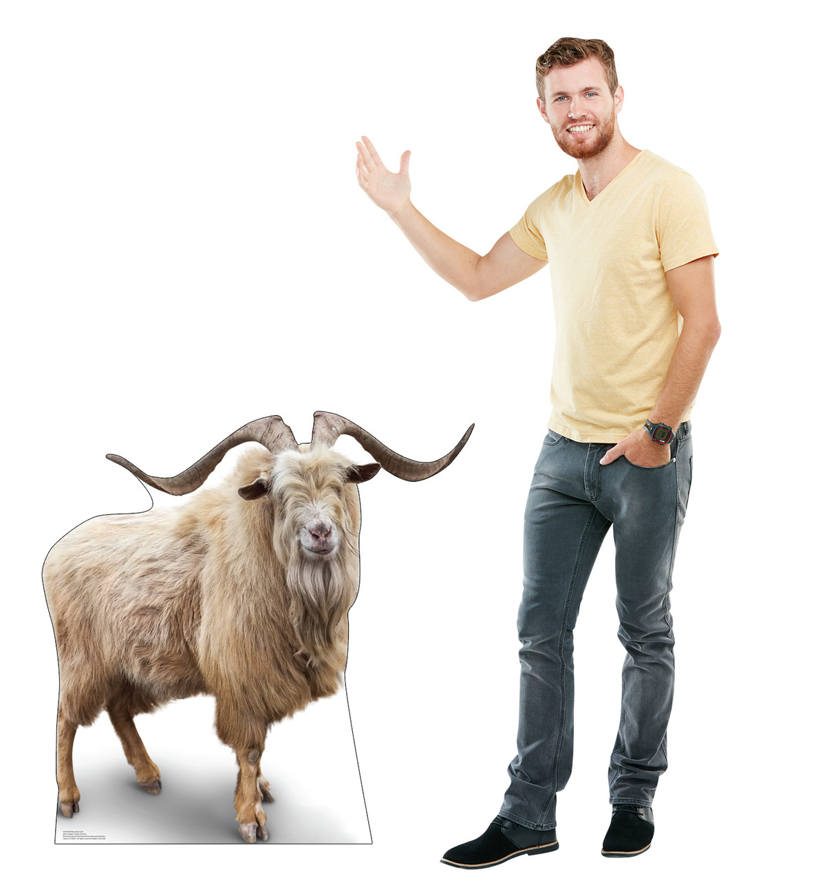 Life-size cardboard standee of a Wild Mountain Goat withmodel.