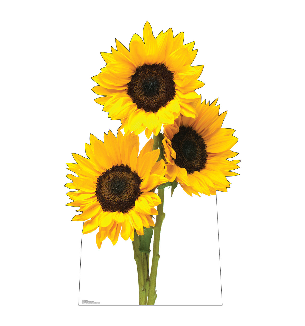 Life-size cardboard standee of a Sunflowers.