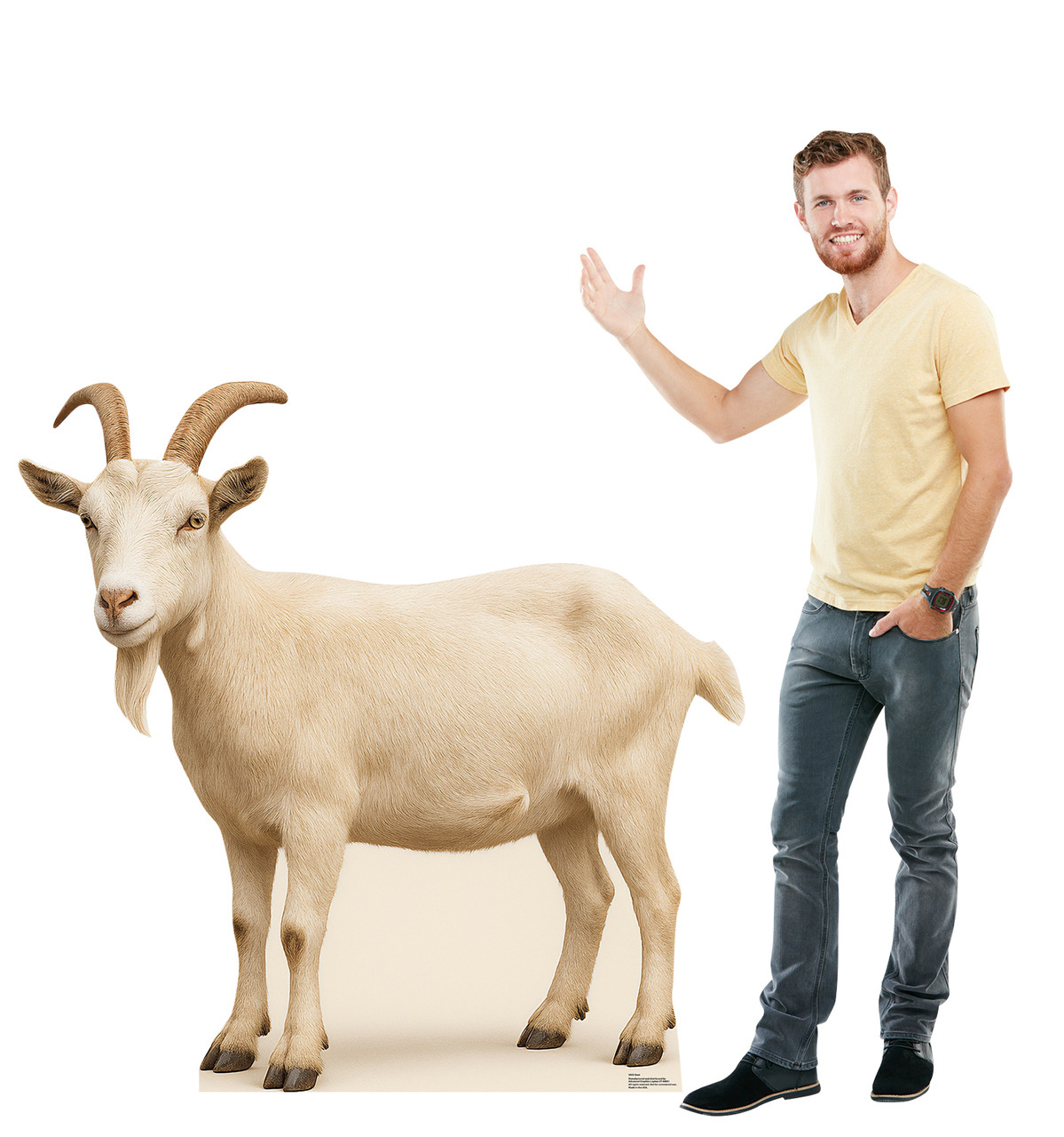 Life-size cardboard standee of a Goat with model.
