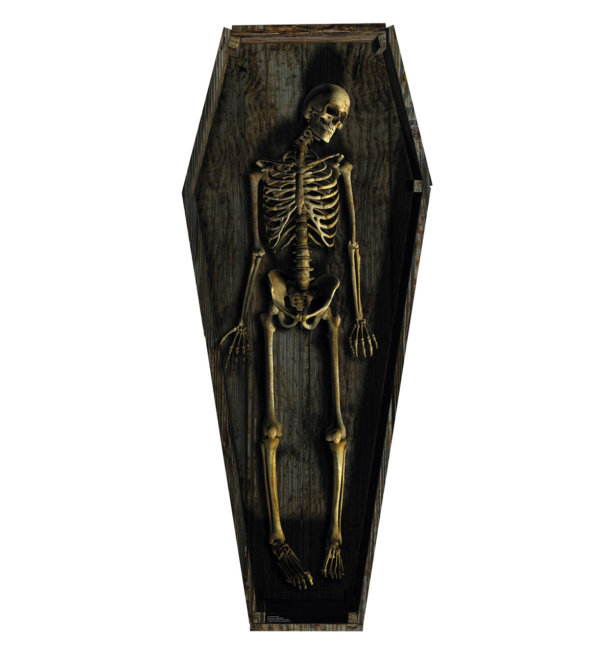 Life-size Skeleton Casket Cardboard Cutout