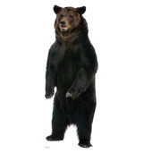 Life-size Brown Bear Cardboard Cutout | 1488