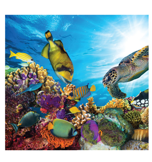 Life-size cardboard standee of Coral Reef Backdrop.