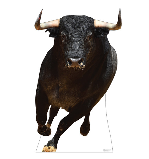 Life-size cardboard standee of a Bull.