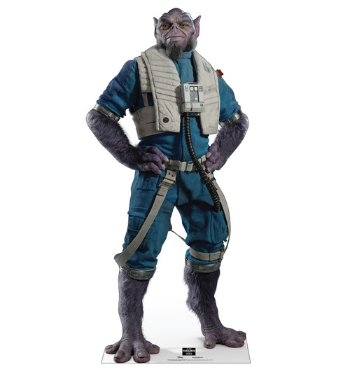 Life-size Cardboard standee of Zeb Orrelios (New Republic Pilot)™.