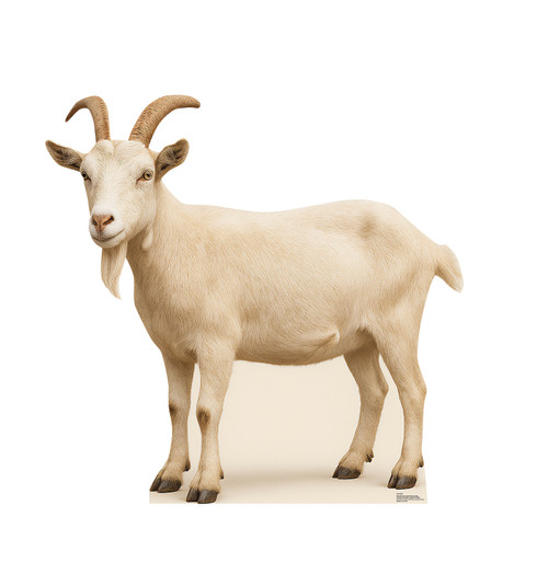 Life-size cardboard standee of a Goat.