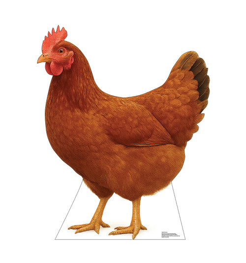Life-size cardboard standee of a Chicken.