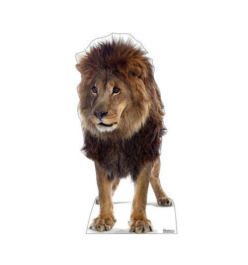 lion ページ Life-size Lion 2 Cardboard Cutout Standee