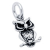 OWL CHARM