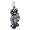 WISE OWL CHARM