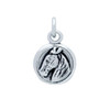 STERLING SILVER HORSE HEAD MEDALLION CHARM