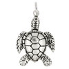 SMALL SEA TURTLE CHARM