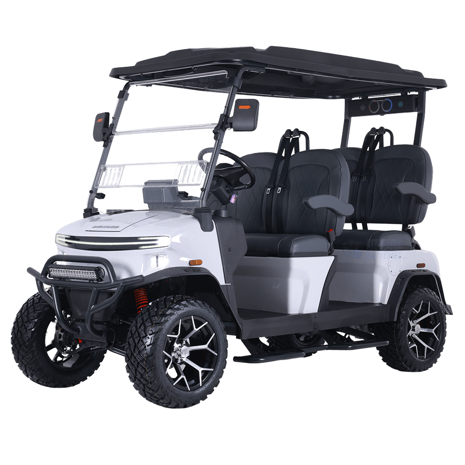 Denago Rover Lithium Battery