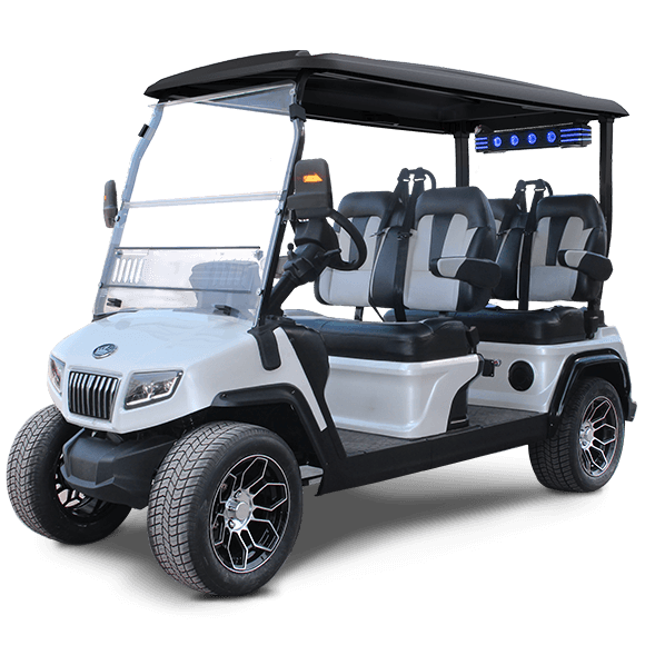 Evolution D5 Lithium Battery