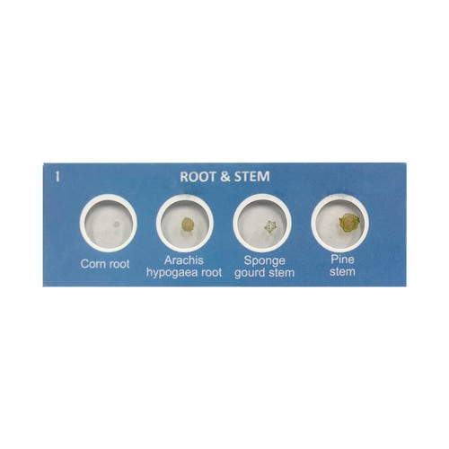 Scout™ Microscope Prepared Specimen Slides