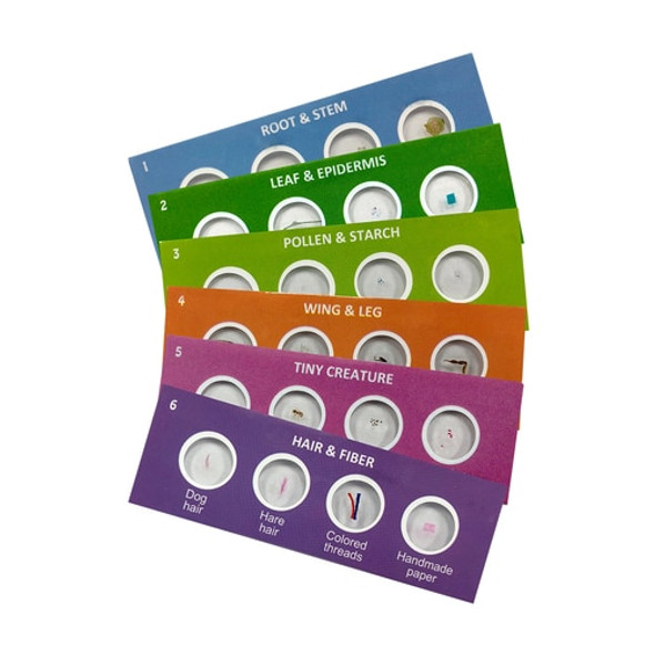 Scout™ Microscope Prepared Specimen Slides Scout™ Microscope Prepared Specimen Slides