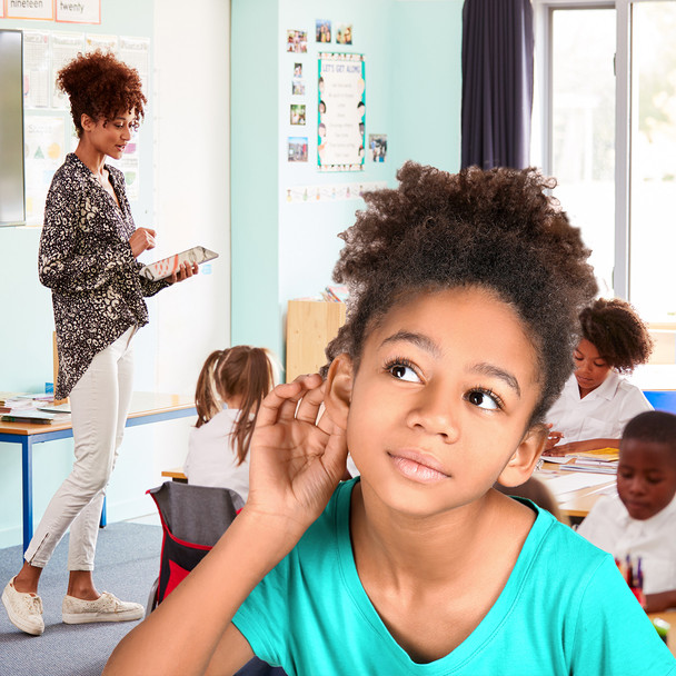 HamiltonBuhl® ADA Compliant Assistive Listening System