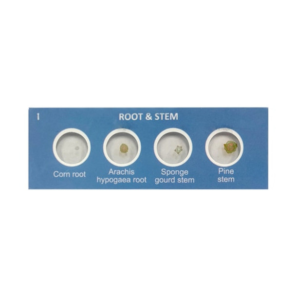 Scout™ Microscope Prepared Specimen Slides Scout™ Microscope Prepared Specimen Slides
