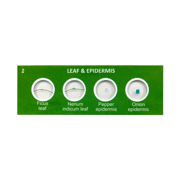 Scout™ Microscope Prepared Specimen Slides Scout™ Microscope Prepared Specimen Slides