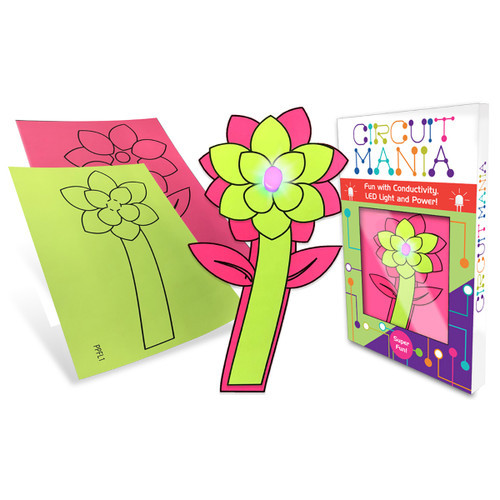 Beginner Level Deluxe STEAM / STEM Kit