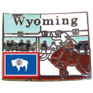 Hat Pin Wyoming - WY Hat Pin Wyoming - WY