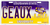 LSU GEAUX License Plate 12" x 6"