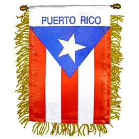 Mini Banners Country 'Puerto Rico' Size: 4" x 6"