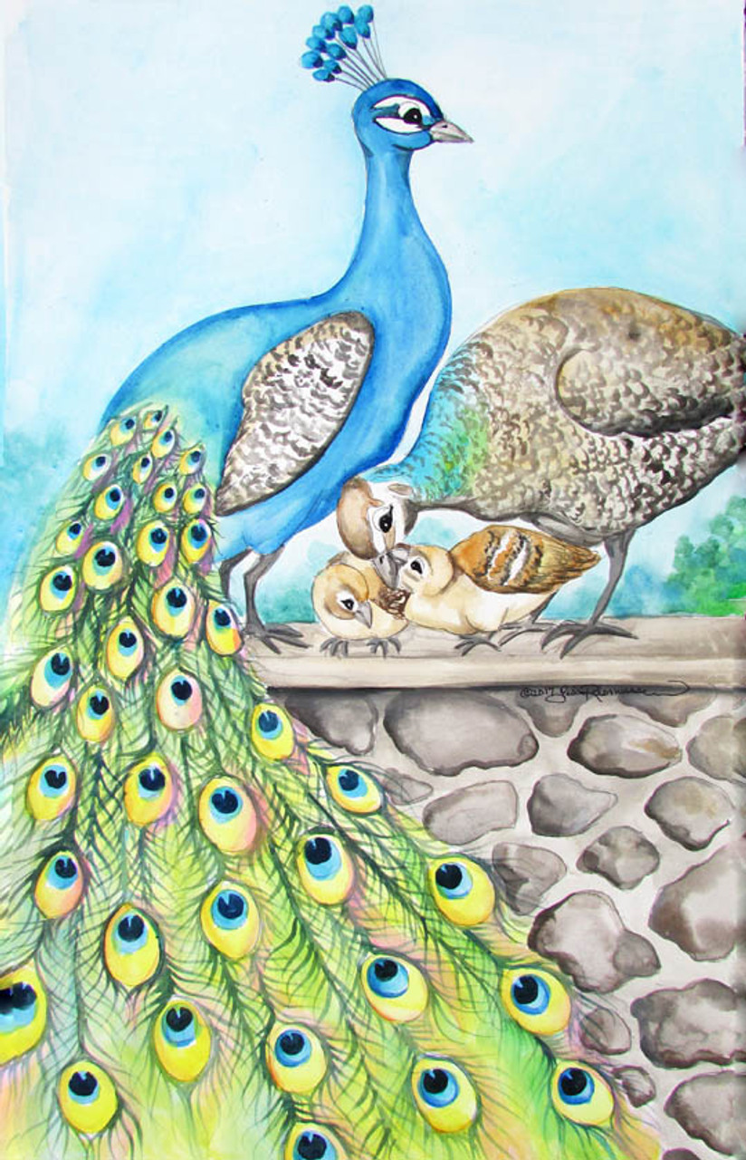 Peacock Realistic Drawing