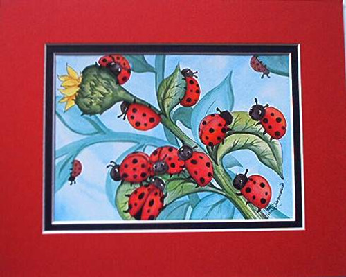 ladybugs